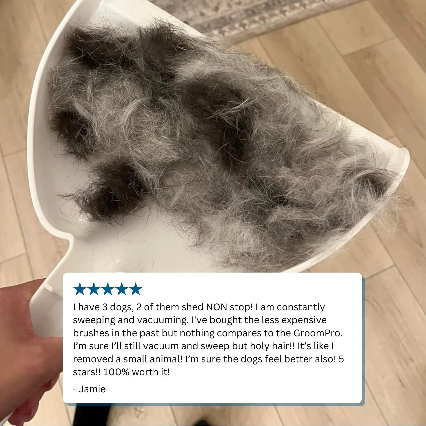 Profesjonalny PET Grooming Device