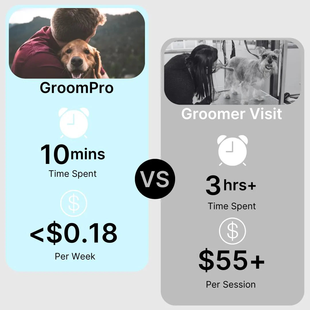 Profesjonalny PET Grooming Device