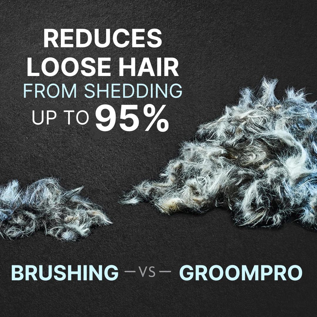 Profesjonalny PET Grooming Device