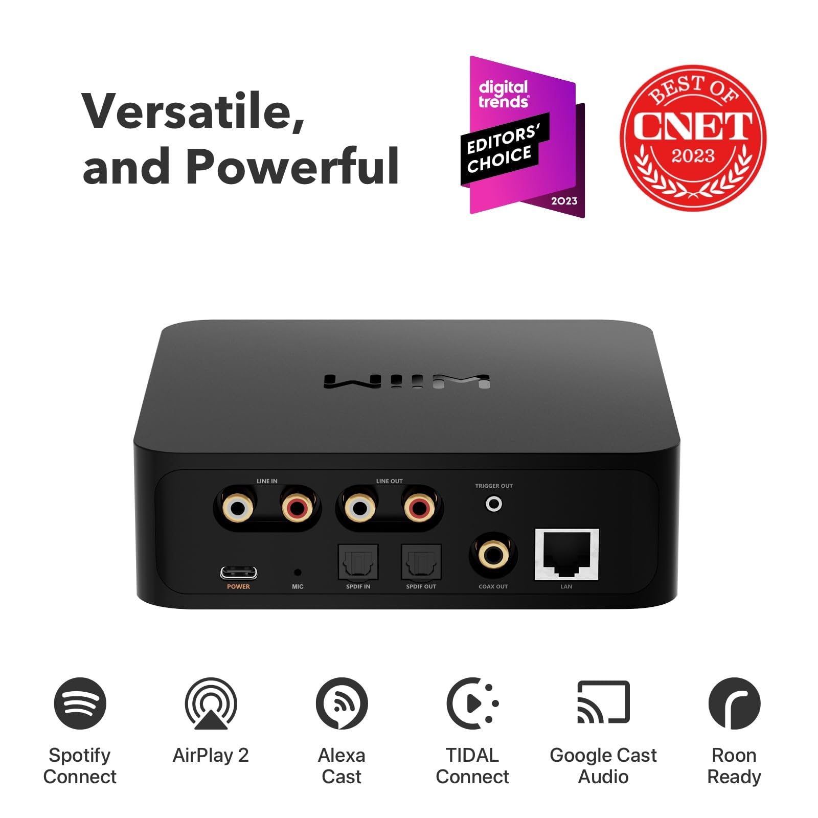 Pro Airplay 2 Multiroom audio Receiver