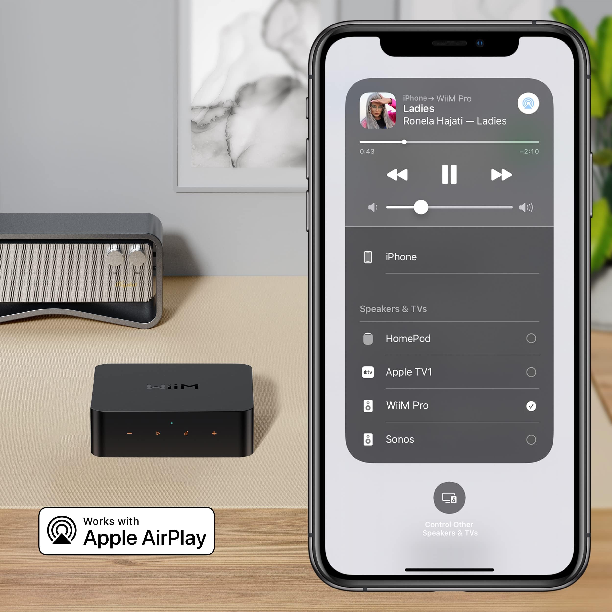 Pro Airplay 2 Multiroom audio Receiver