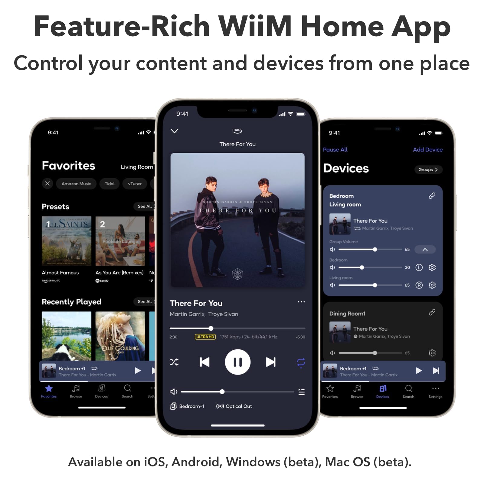 Pro Airplay 2 Multiroom audio Receiver