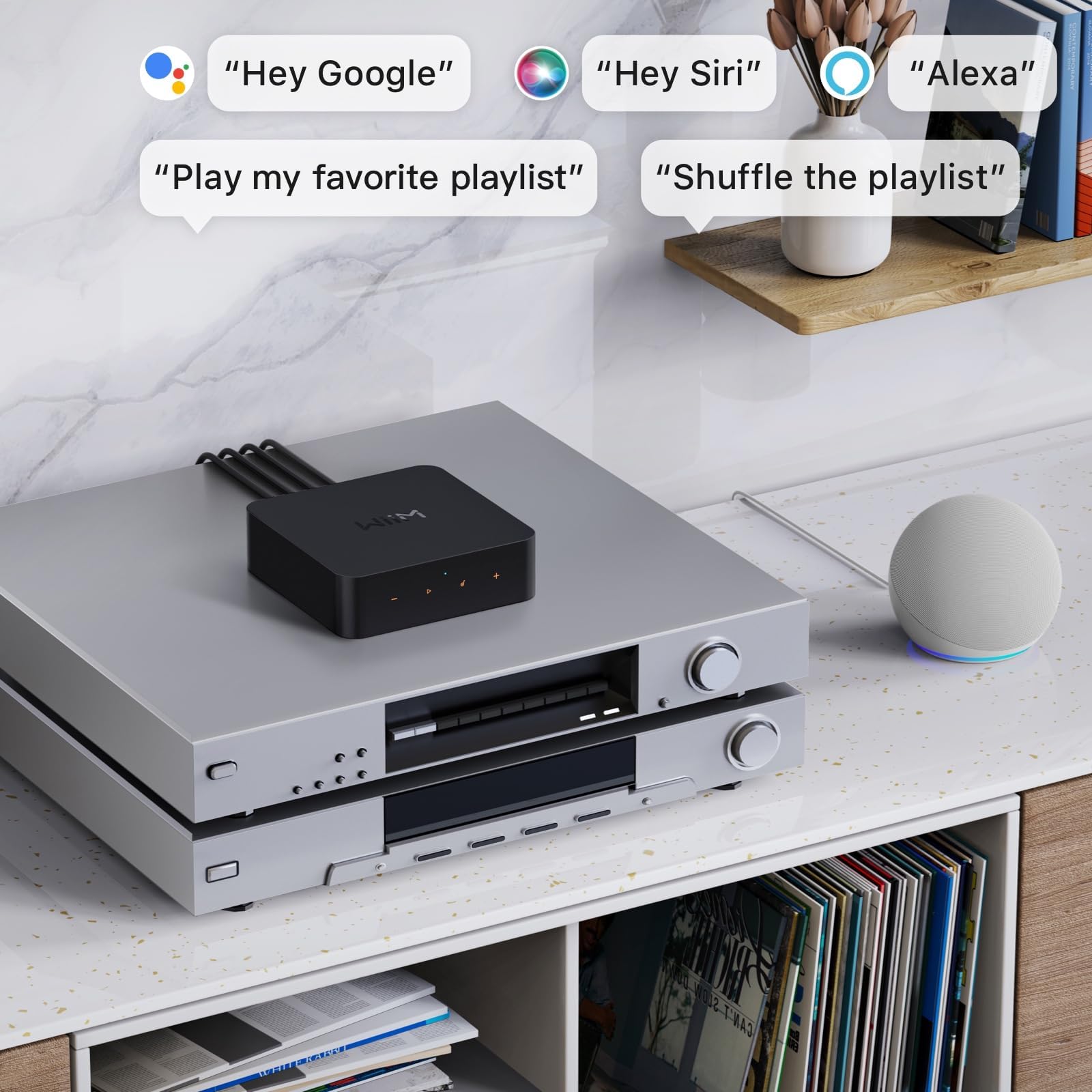 Pro Airplay 2 Multiroom audio Receiver