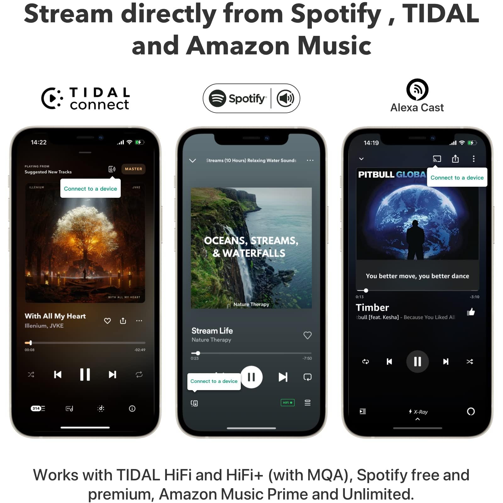Pro Airplay 2 Multiroom audio Receiver