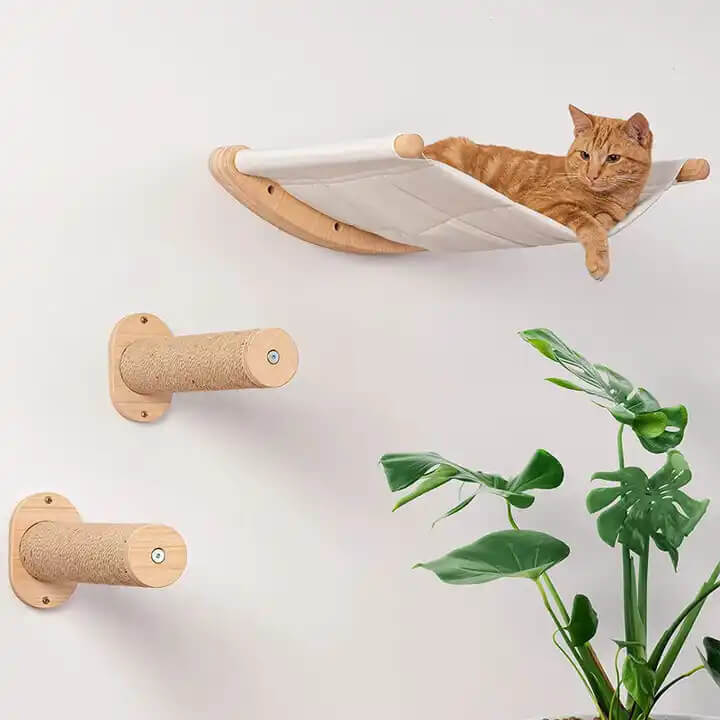 Montowany na scianie dla kota półki dla kota ściana Hammock z Steps