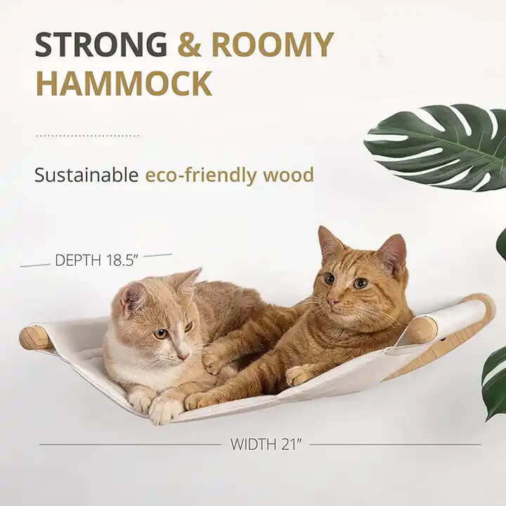Montowany na scianie dla kota półki dla kota ściana Hammock z Steps