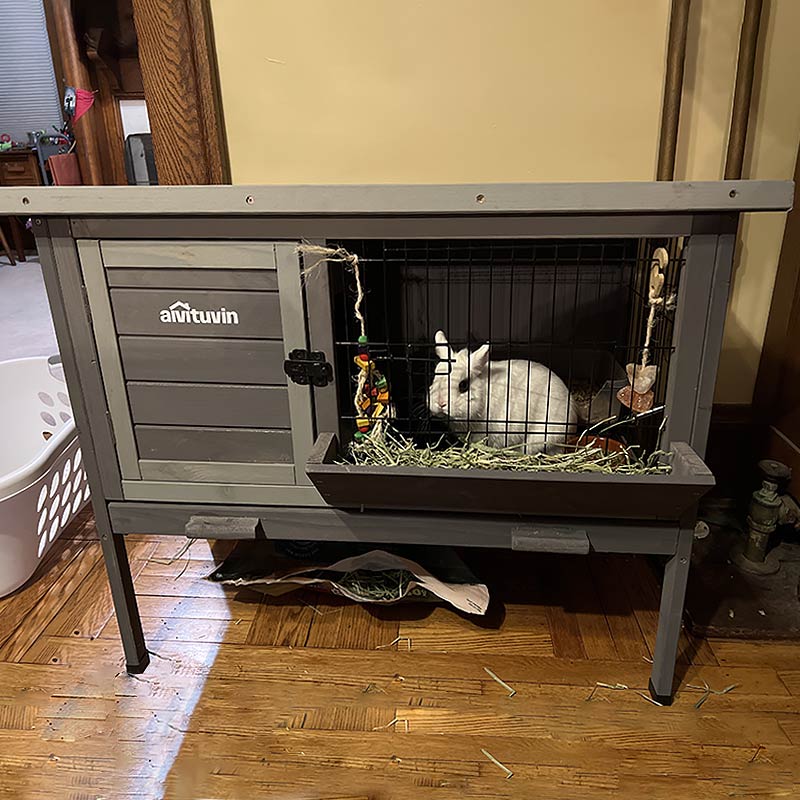 1787457336_q2ckIU92 Hutch, zewnętrzny Rabbit, AIR01-B, metal Wire siatka Above Tray, 3.1ft2