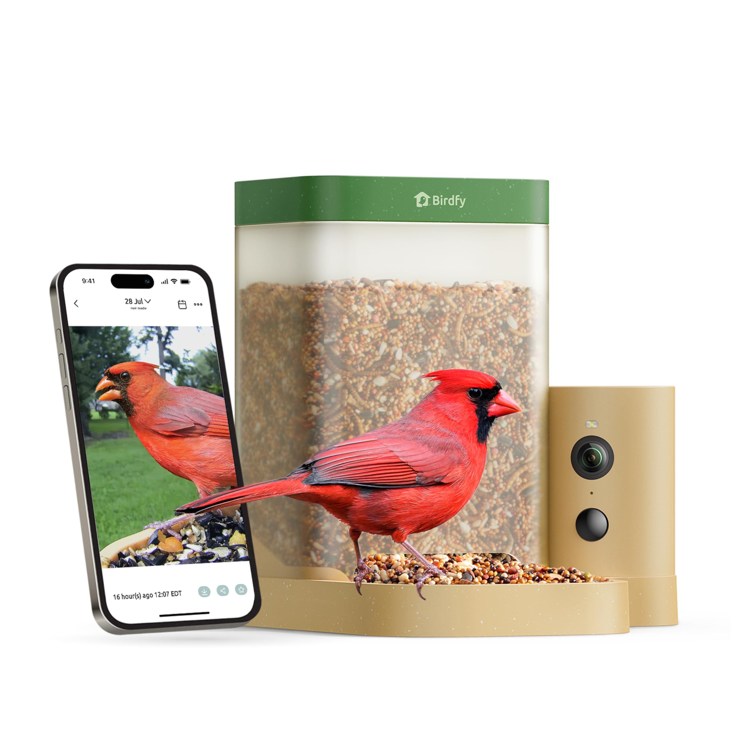 Bird karmnik, smart, kamera z Night Vision i Ai