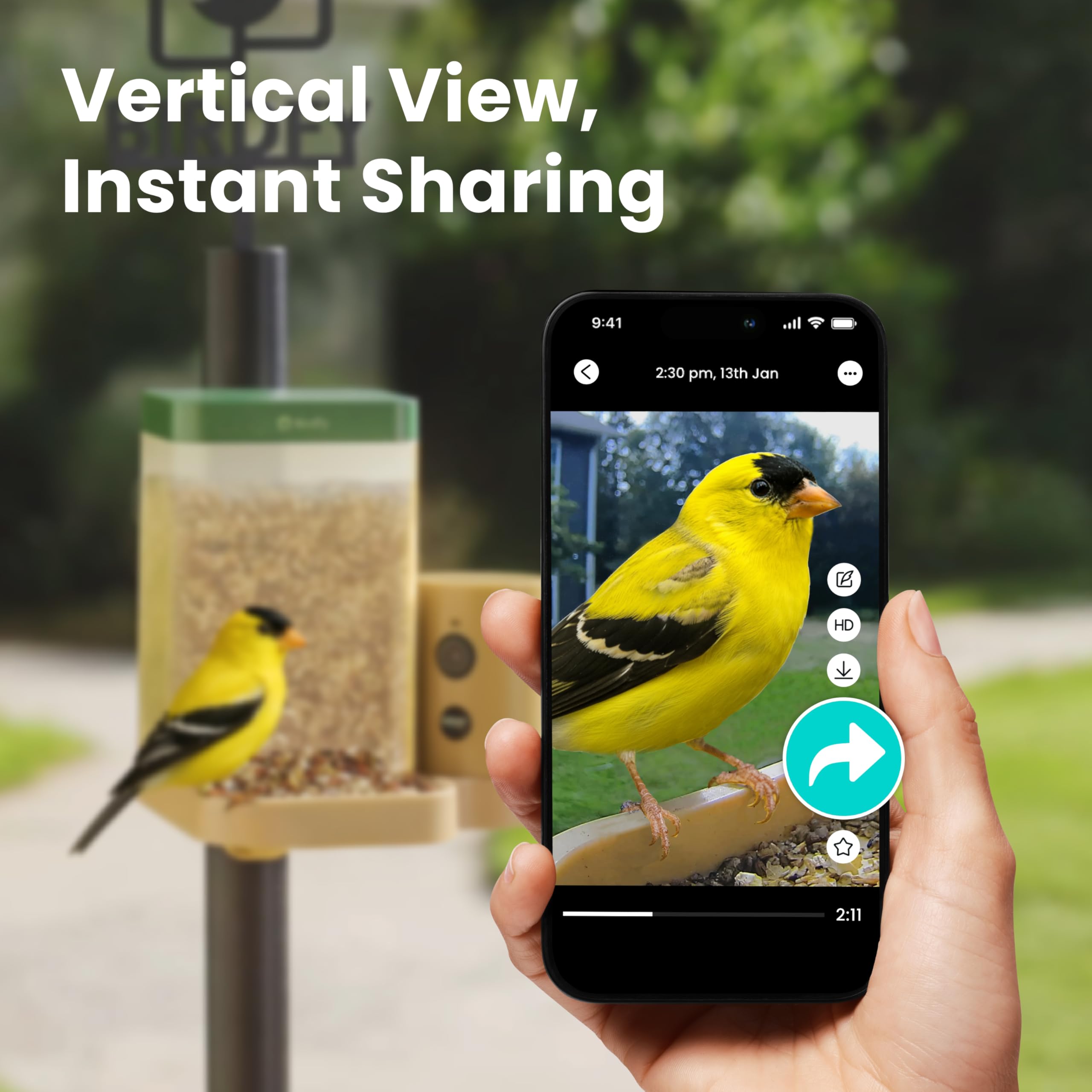 Bird karmnik, smart, kamera z Night Vision i Ai