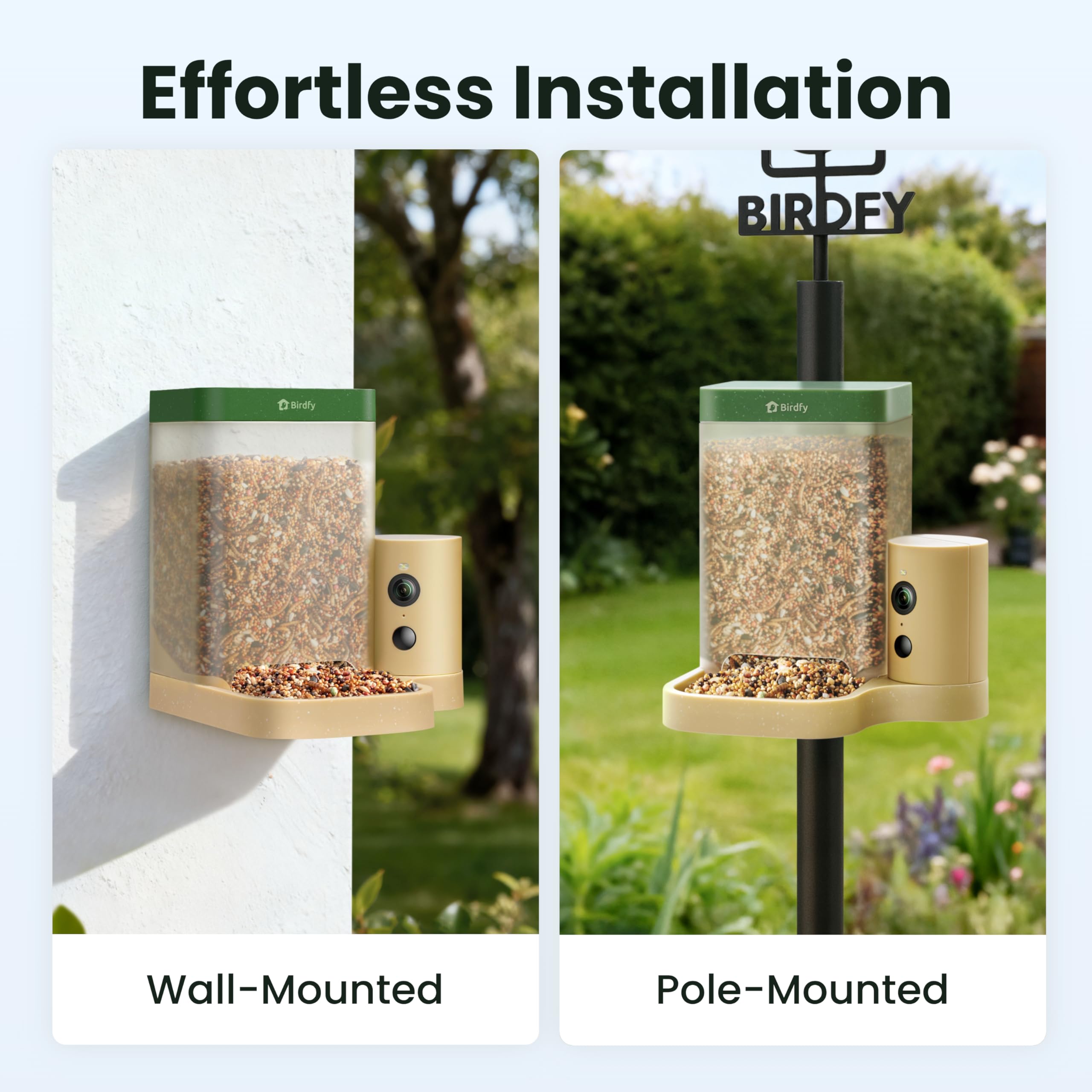 Bird karmnik, smart, kamera z Night Vision i Ai