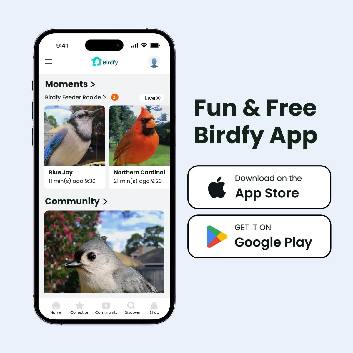 Bird karmnik, smart, kamera z Night Vision i Ai
