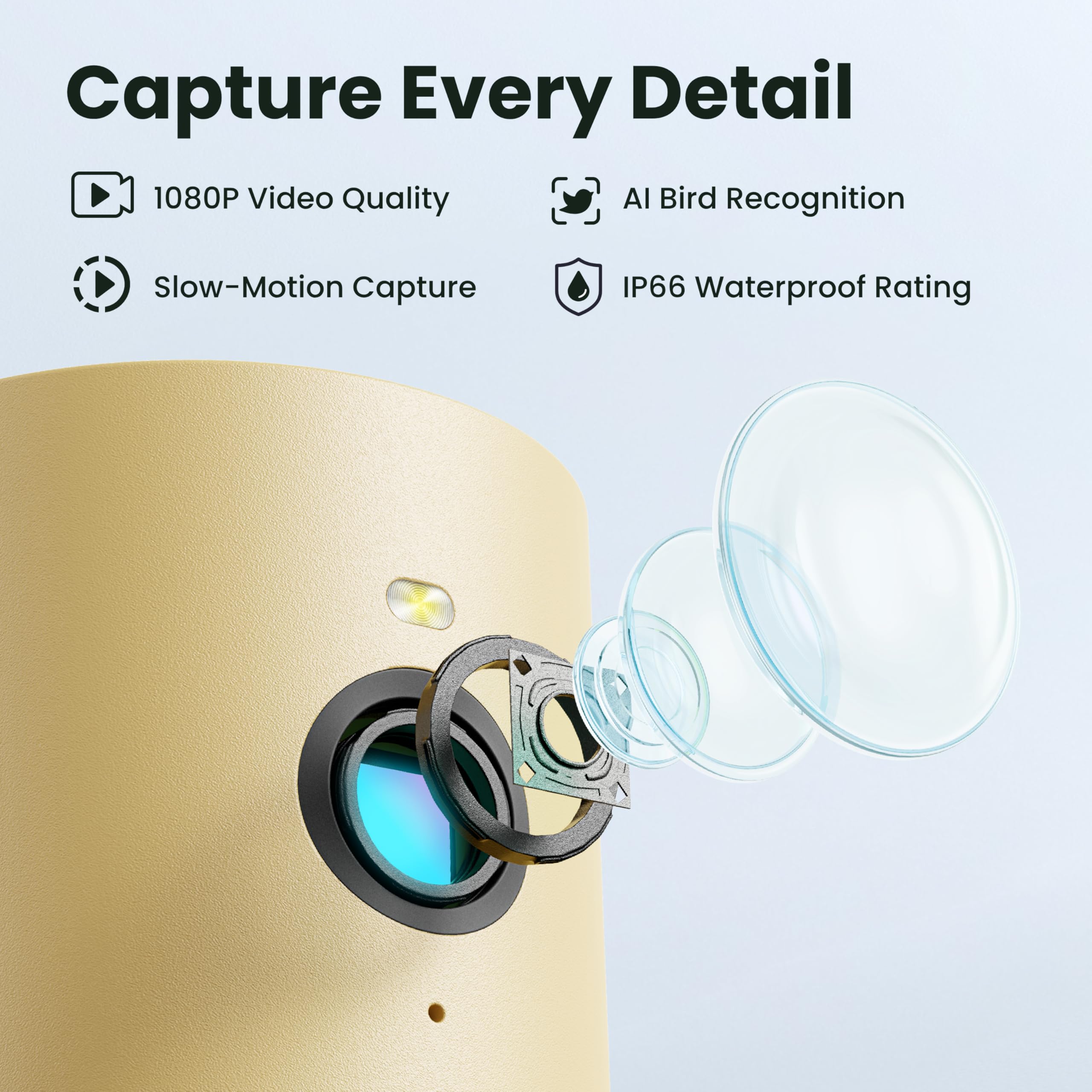 Bird karmnik, smart, kamera z Night Vision i Ai