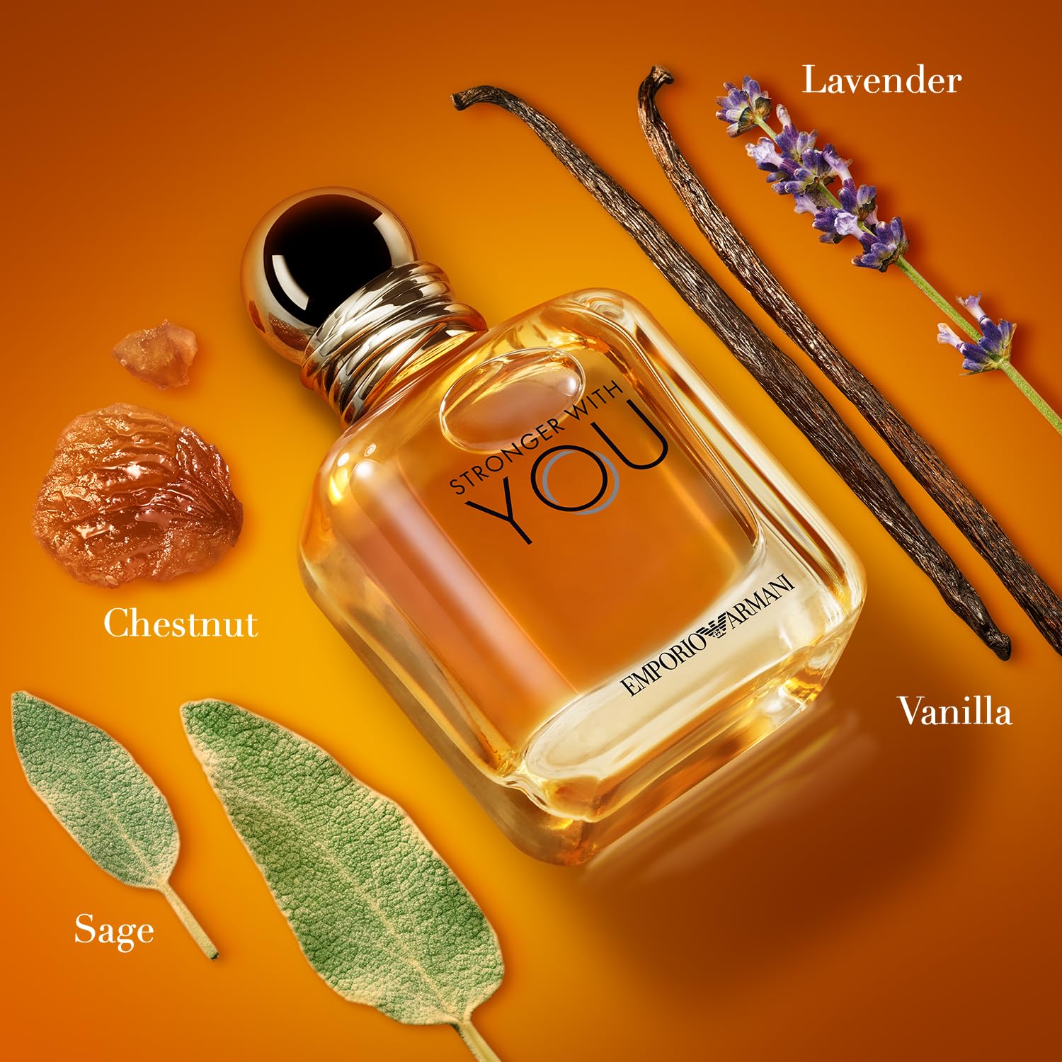 Beauty Stronger z You z Eau De Toilette Cologne do Men