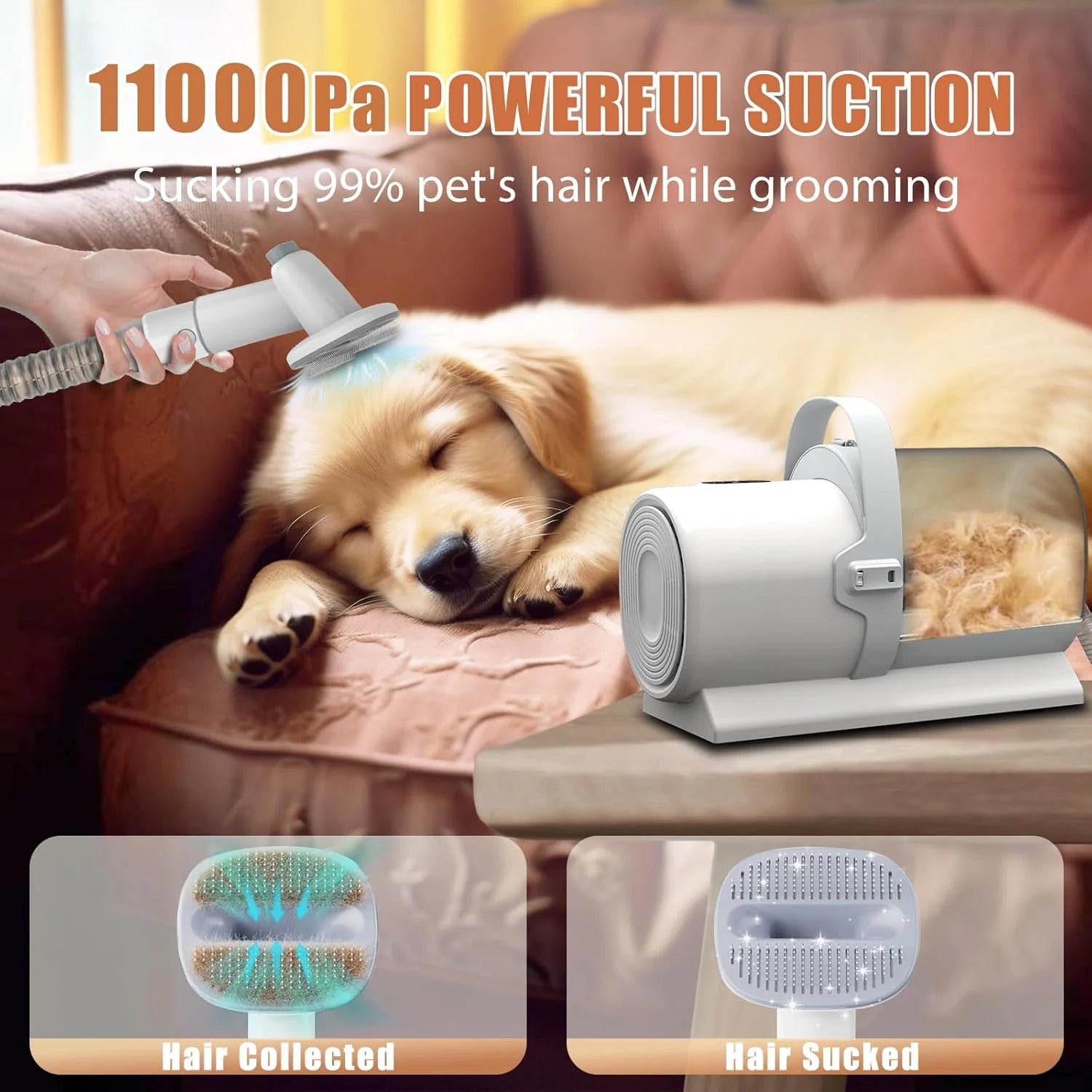 Dla psa Grooming odkurzacz, PET Grooming zestaw z dla psa Clippers