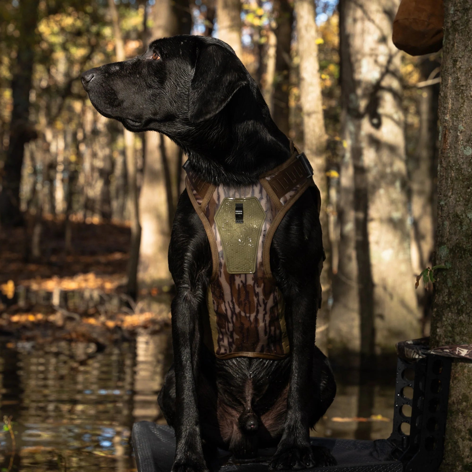 1787691571_uwBF6Ohh Vest, dla psa, Bottomland