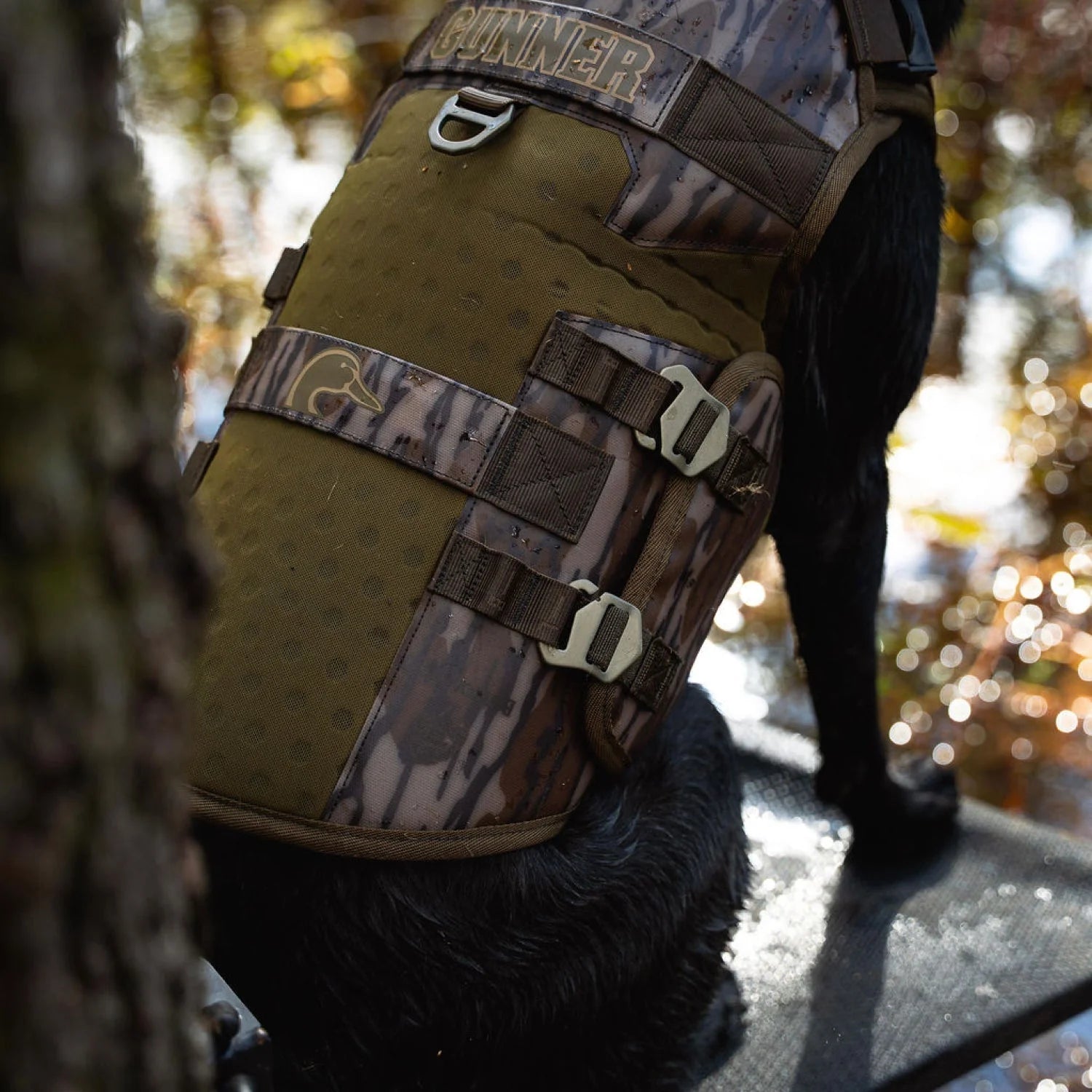 1787691575_RvW54hu4 Vest, dla psa, Bottomland
