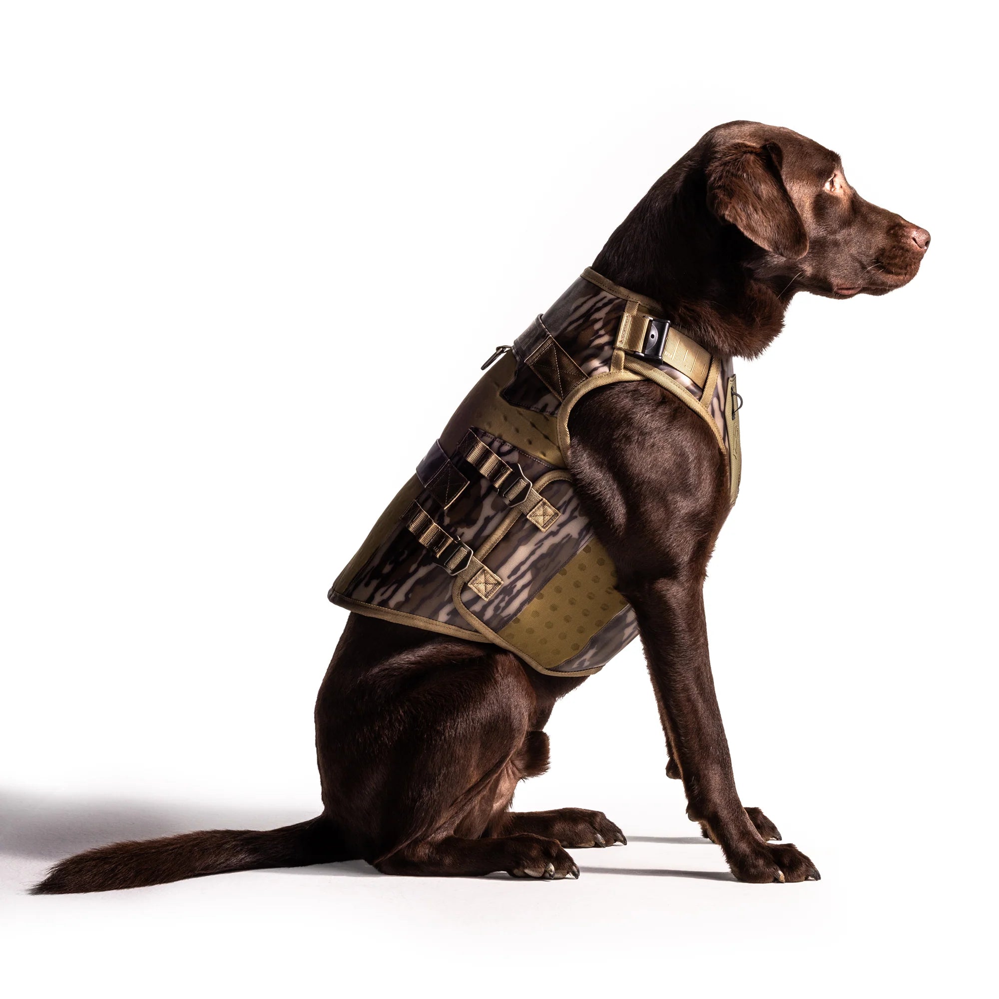 1787691586_cuEXm5rY Vest, dla psa, Bottomland