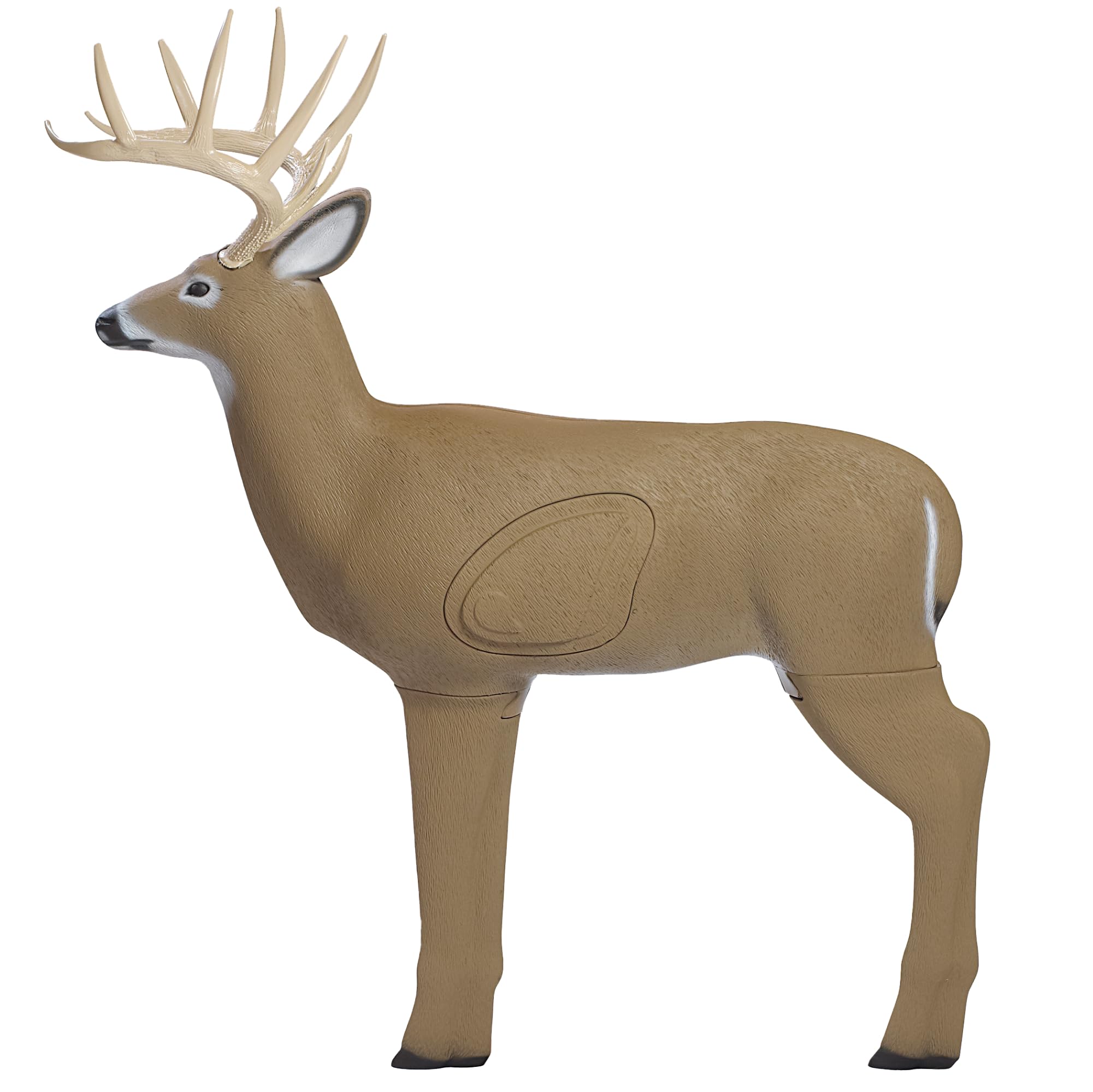 Buck 3D Archery Target z Weather-resistant, Durable Foam