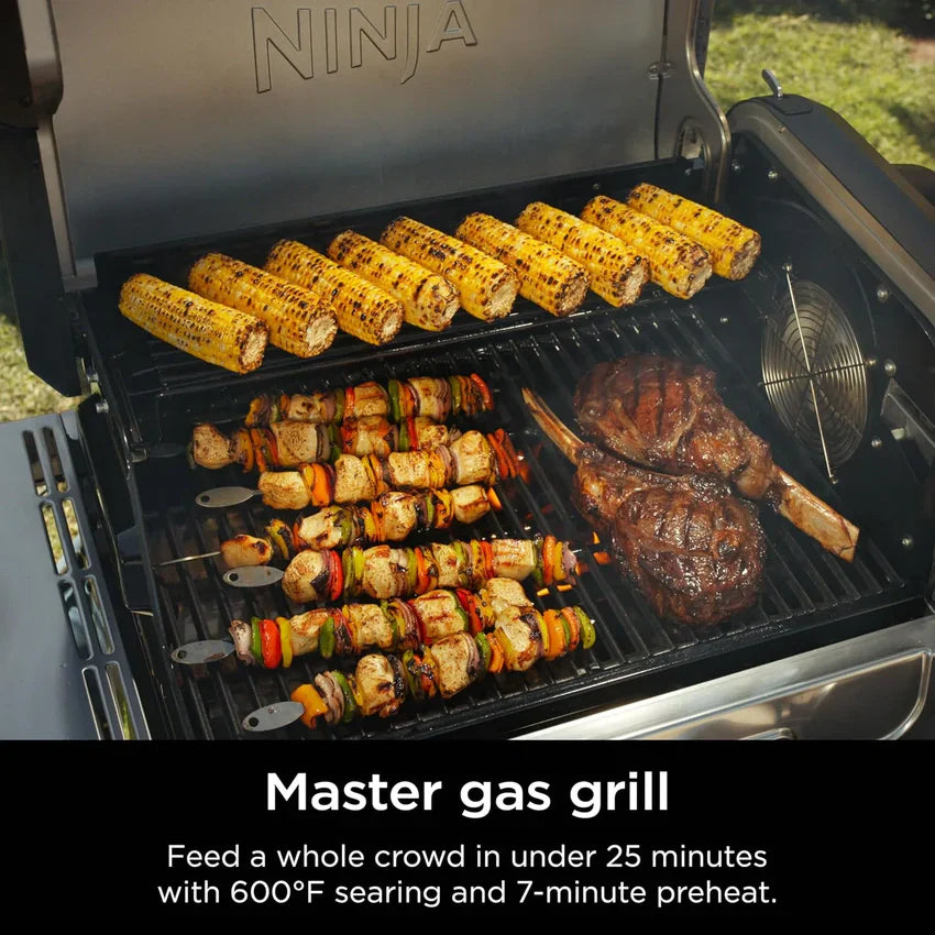 1787748693_gDQTmJEH FlexFlame, Featuring Grill and Smoker, Electric and Propane Grill, Roaster, BBQ Grill, 5-in-1 Cooking System, 3 Burner, Digital Control, Outdoor