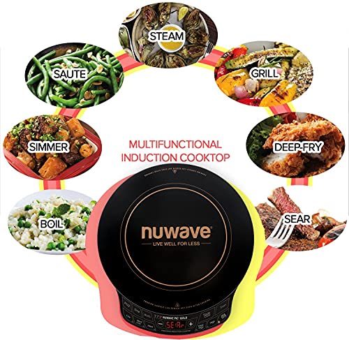 Złoty Precision Induction Cooktop z Powerful z duży 8 Heating Coil