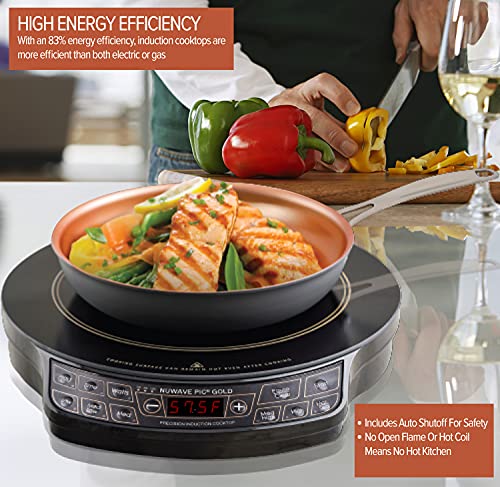 Złoty Precision Induction Cooktop z Powerful z duży 8 Heating Coil